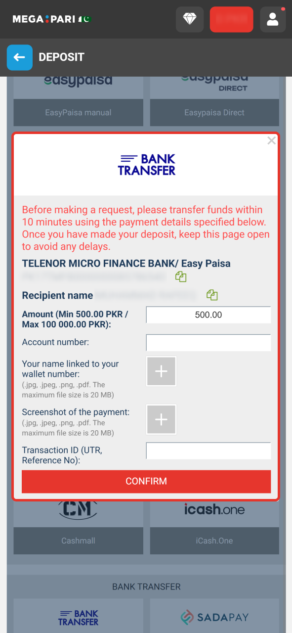 Enter amount of money in PKR to deposit at your MegaPari account.